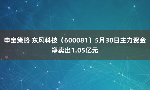 申宝策略 东风科技（600081）5月30日主力资金净卖出1.05亿元