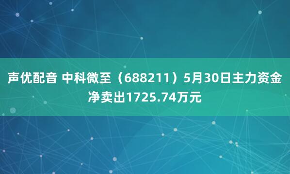 声优配音 中科微至（688211）5月30日主力资金净卖出1725.74万元