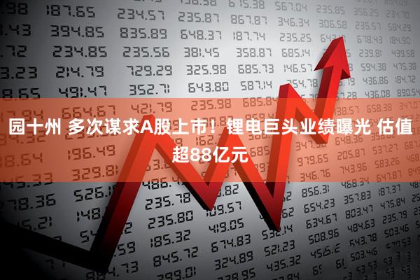 园十州 多次谋求A股上市！锂电巨头业绩曝光 估值超88亿元