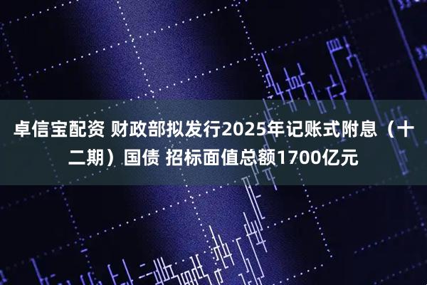卓信宝配资 财政部拟发行2025年记账式附息（十二期）国债 招标面值总额1700亿元
