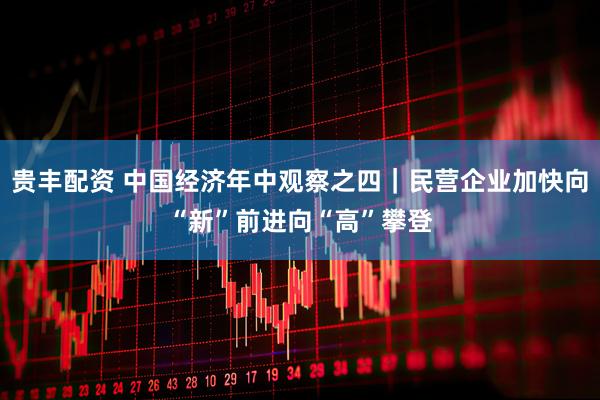 贵丰配资 中国经济年中观察之四｜民营企业加快向“新”前进向“高”攀登