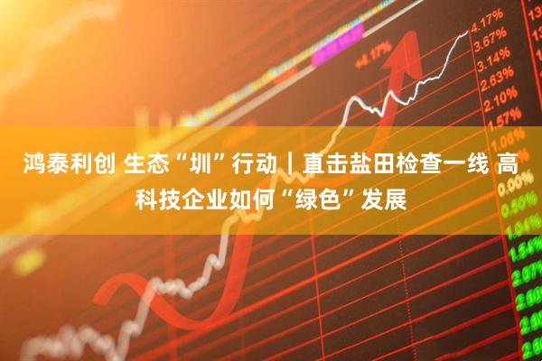 鸿泰利创 生态“圳”行动｜直击盐田检查一线 高科技企业如何“绿色”发展