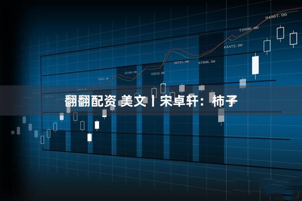 翻翻配资 美文丨宋卓轩：柿子