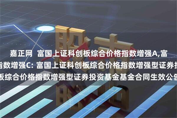 嘉正网  富国上证科创板综合价格指数增强A,富国上证科创板综合价格指数增强C: 富国上证科创板综合价格指数增强型证券投资基金基金合同生效公告