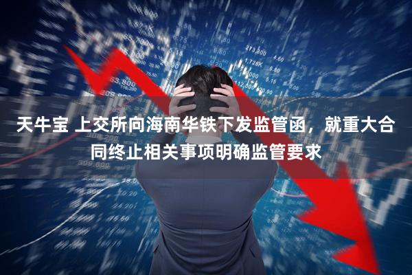 天牛宝 上交所向海南华铁下发监管函，就重大合同终止相关事项明确监管要求