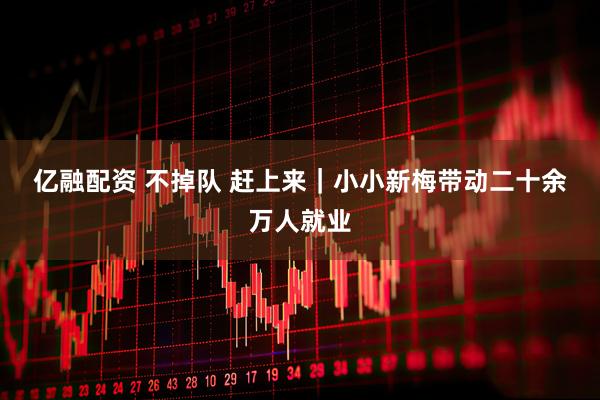 亿融配资 不掉队 赶上来|小小新梅带动二十余万人就业